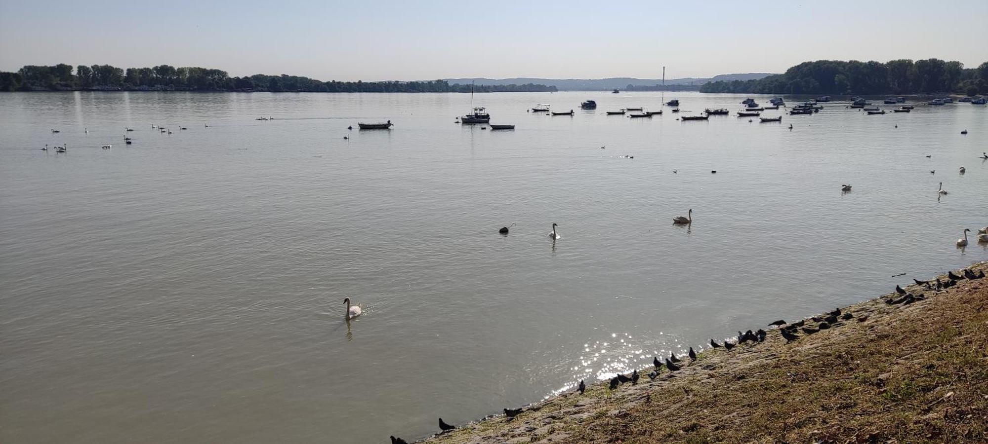 River Hostel Belgrad Dış mekan fotoğraf