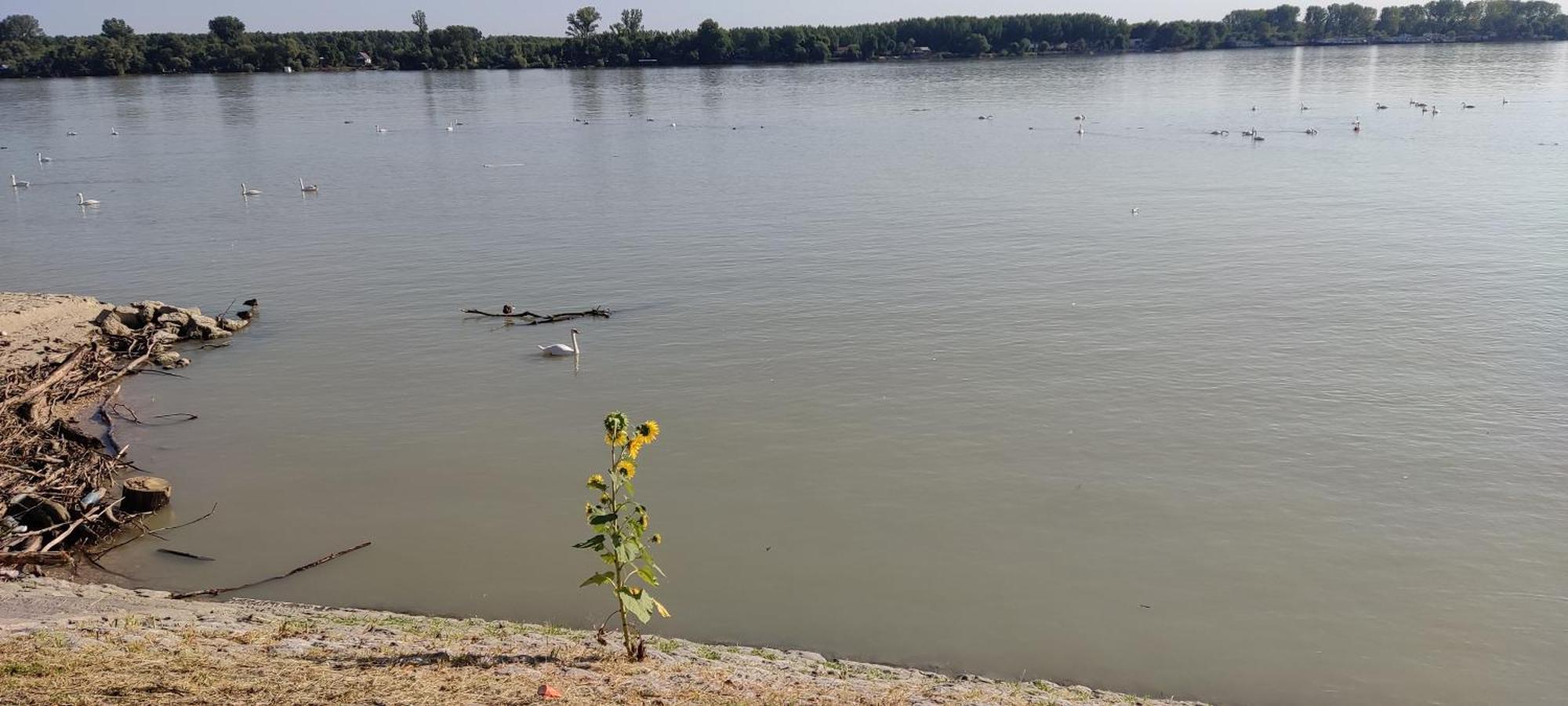 River Hostel Belgrad Dış mekan fotoğraf
